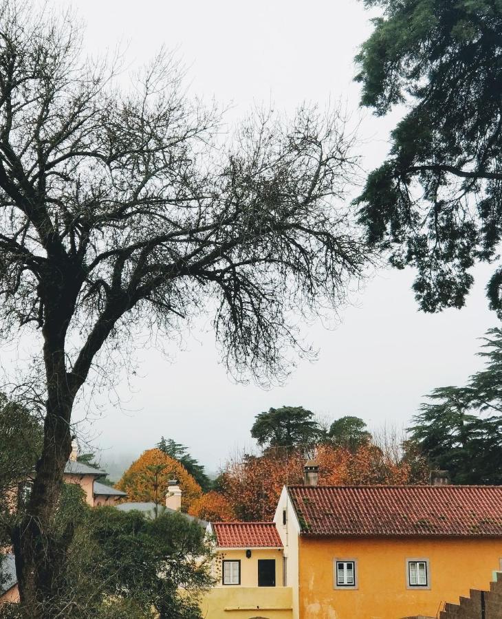 The Five House Hotel Sintra Exterior photo